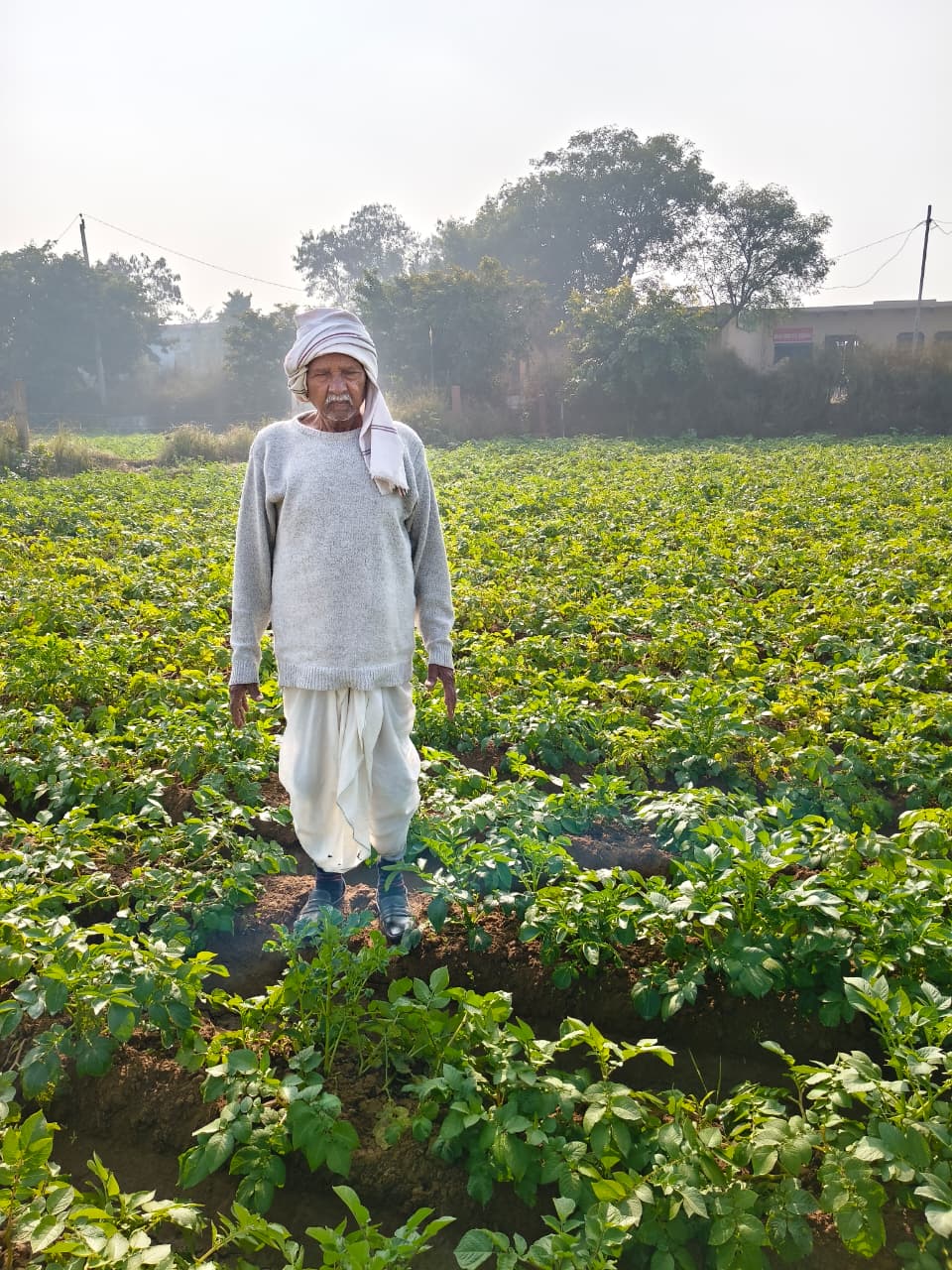 Organic Dairy Farming