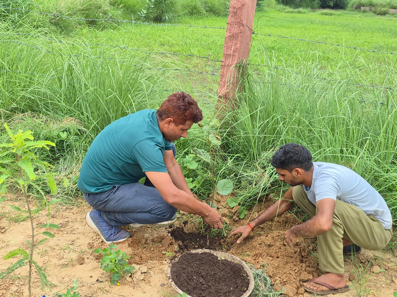 Sustainable Farming Team