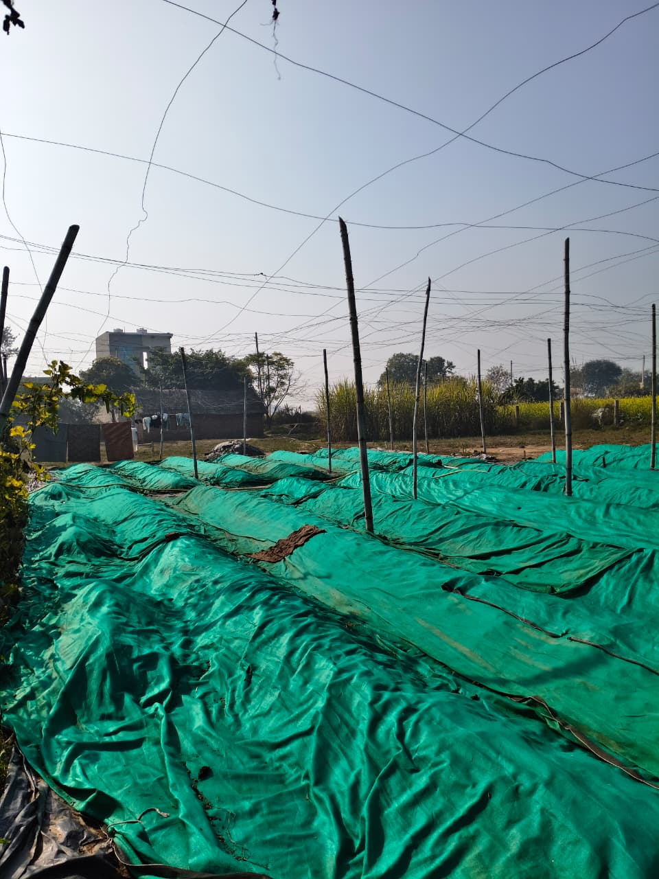 Vermicompost Production